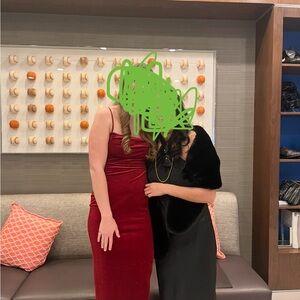 Windsor Rich Red Velvet Gown